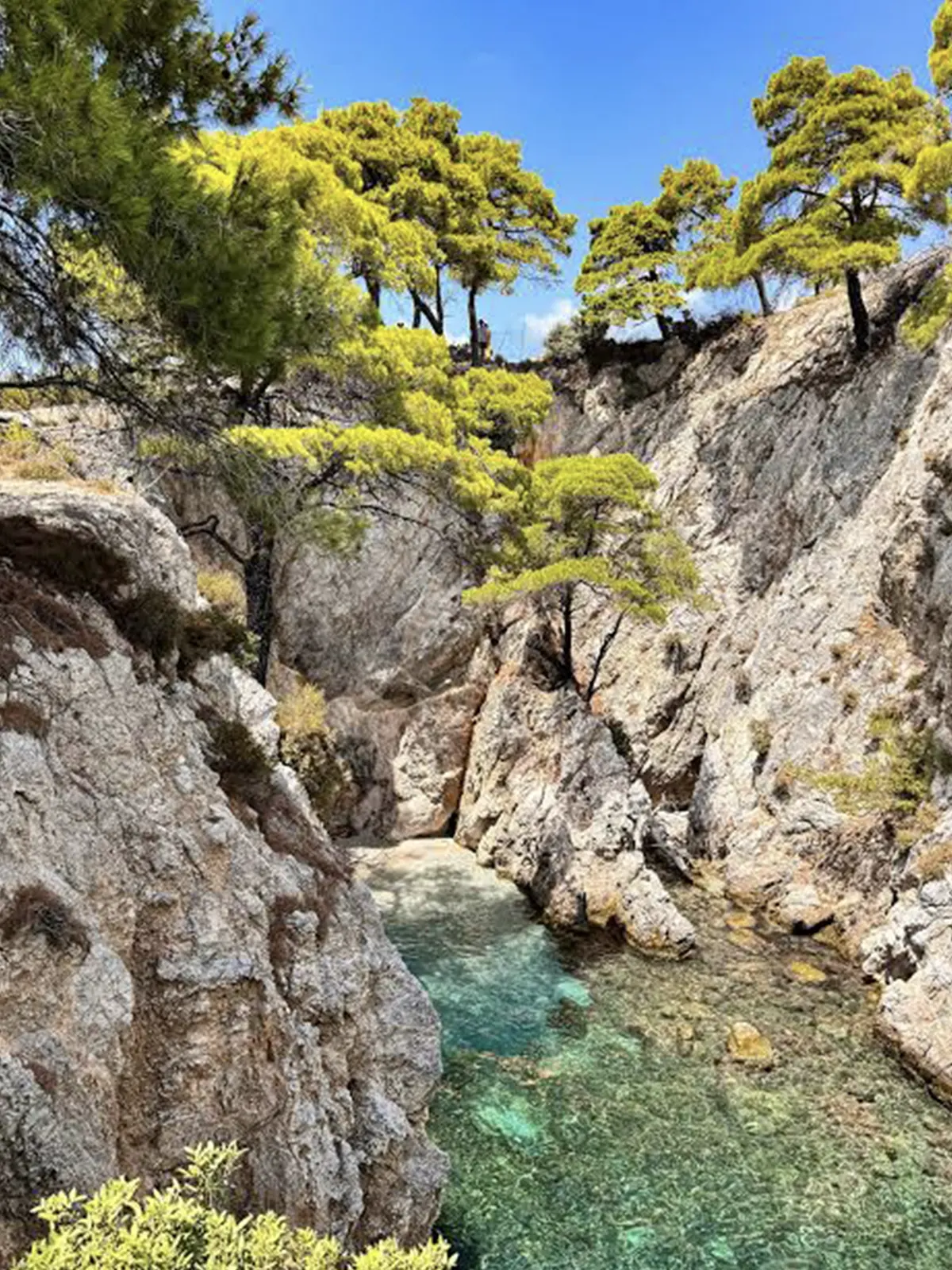 Skopelos Drive Away - Skopelos 1 Skopelos Drive Away Skopelos 1 | Skopelos Drive Away - Rent a Car in Skopelos